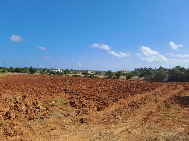 🌿 Einzigartige Gelegenheit in Yesilkoy: Haus mit 3 Schlafzimmern auf einem großen Feld zu verkaufen