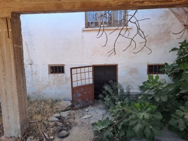 🌿 Einzigartige Gelegenheit in Yesilkoy: Haus mit 3 Schlafzimmern auf einem großen Feld zu verkaufen