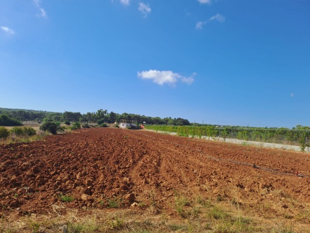 🌿 Einzigartige Gelegenheit in Yesilkoy: Haus mit 3 Schlafzimmern auf einem großen Feld zu verkaufen