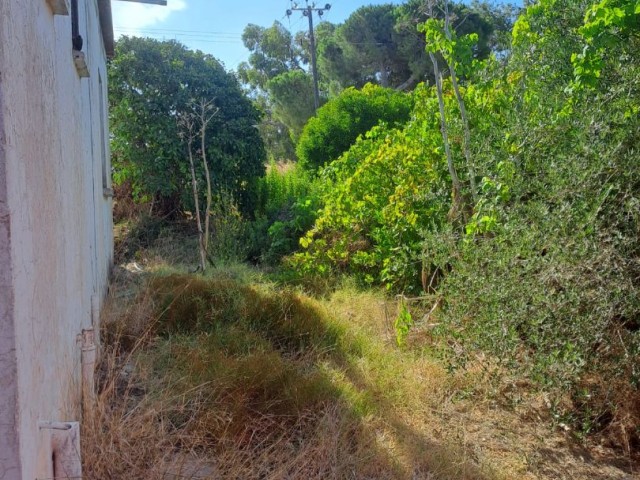 🌿 Einzigartige Gelegenheit in Yesilkoy: Haus mit 3 Schlafzimmern auf einem großen Feld zu verkaufen