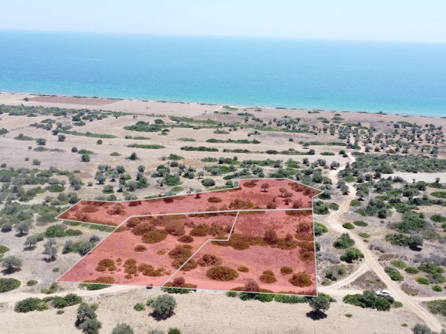 8 Decares of 1 Evlek Investment Land For Sale In Derince Village 400 Meters From The Sea!!!