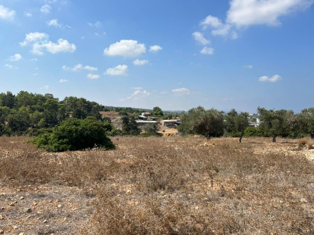 9 Hektar Land mit Zonenbebauung und Meerblick zum Verkauf in Yeni Erenköy