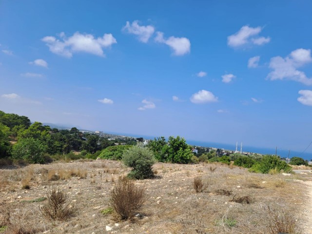 9 acres of land with zoned development and sea view for sale in Yeni Erenköy