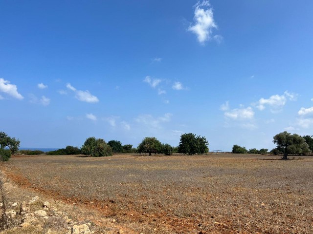 3 acres of 2 evlek land with zoned development and sea view for sale in Yeni Erenköy