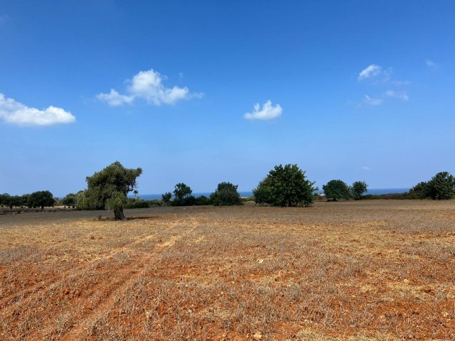 3 acres of 2 evlek land with zoned development and sea view for sale in Yeni Erenköy