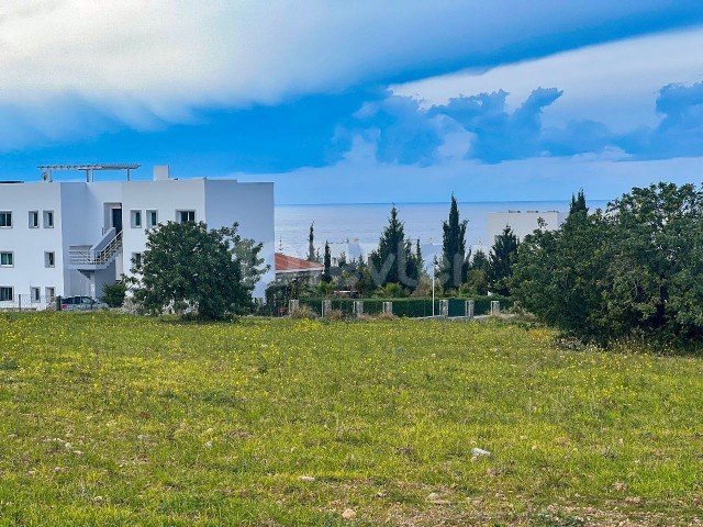 15 decares of investment land for sale in Küçük Erenköy!