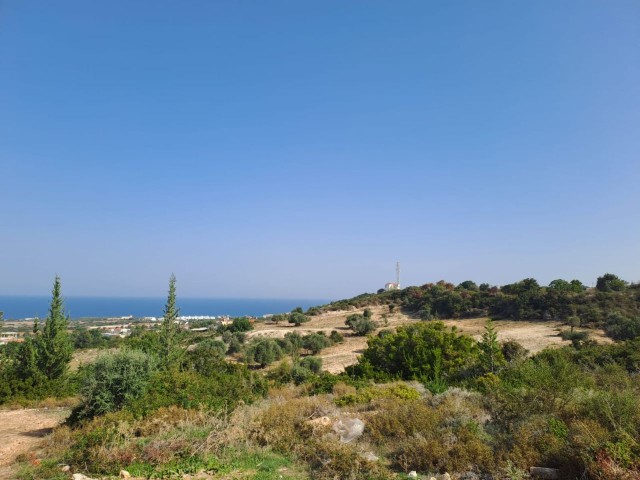 3 acres of 2 evlek land with zoned development and sea view for sale in Yeni Erenköy