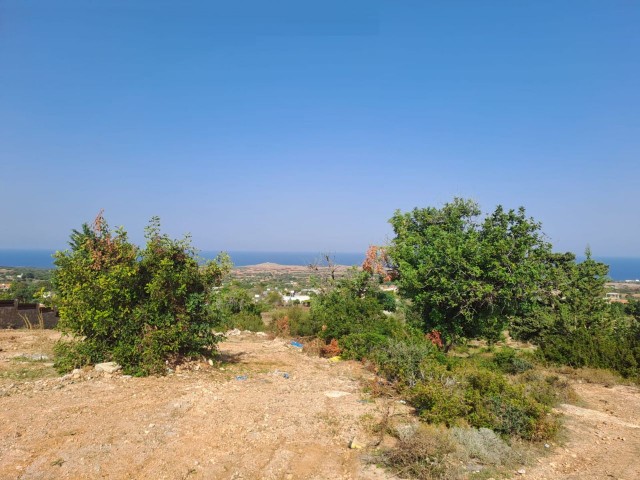 3 acres of 2 evlek land with zoned development and sea view for sale in Yeni Erenköy