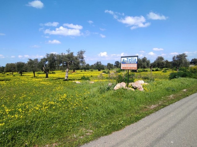 Meerblick und Zonengrundstück in Yenierenköy