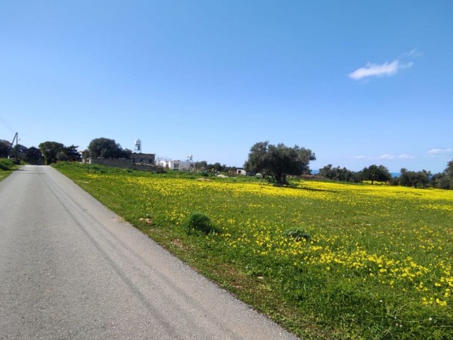 Sea view and zoned land in Yenierenköy