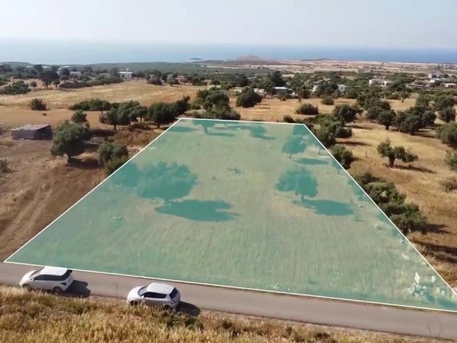 Sea view and zoned land in Yenierenköy