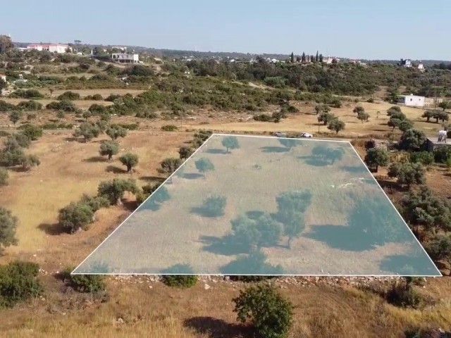 Sea view and zoned land in Yenierenköy