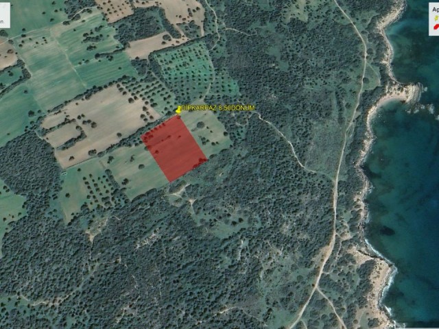 11373M2 FIELD FOR INVESTMENT IN DIPKARPAZ