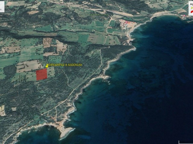 11373M2 FIELD FOR INVESTMENT IN DIPKARPAZ