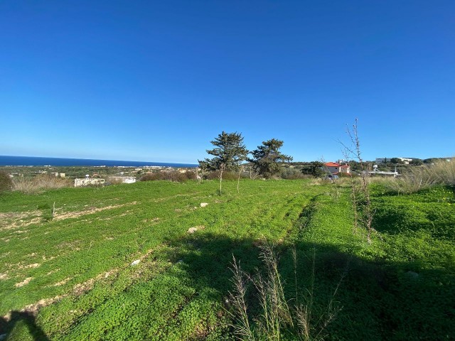 Land for Sale in Yenierenköy with Magnificent Sea View, 50% Zoning, 3280 m2 Area