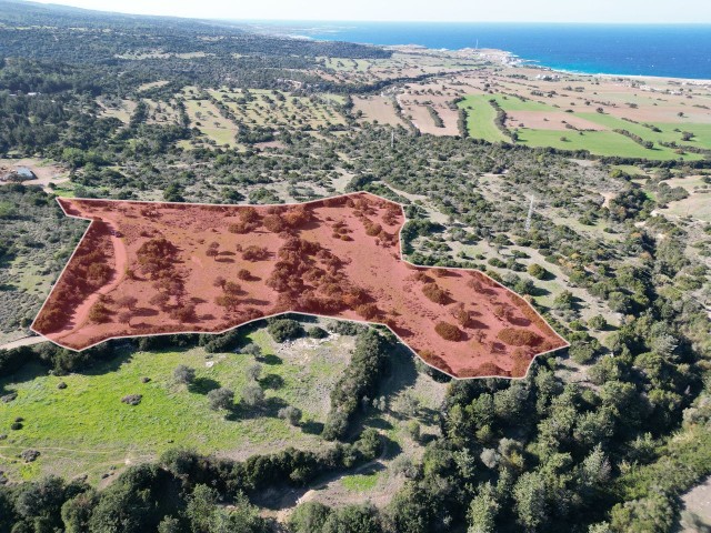 16 Hektar Land zum Verkauf mit herrlichem Meerblick für Investitionen in der Region Yenierenköy Florya