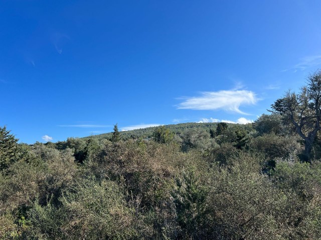 Erschwingliches Grundstück zum Verkauf mit Meerblick in Sipahide