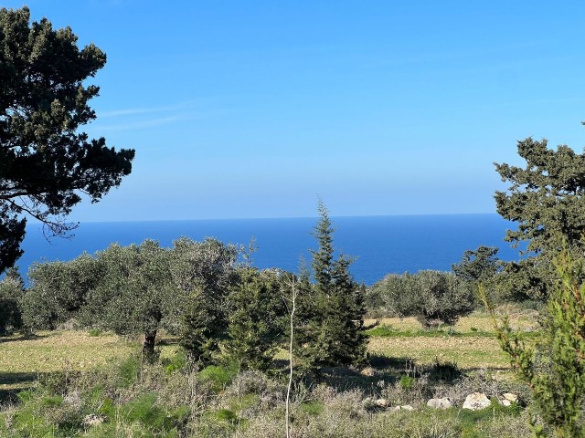 Affordable Land for Sale with Sea View in Sipahide