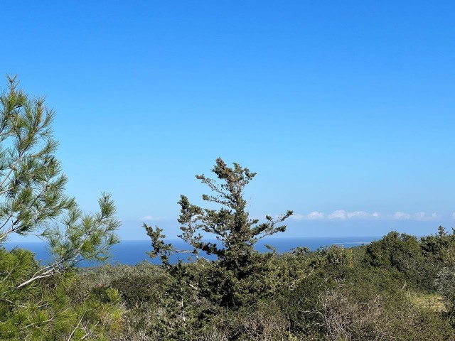 Sipahide Deniz Manzaralı Uygun Fiyatlı Satılık Arazi