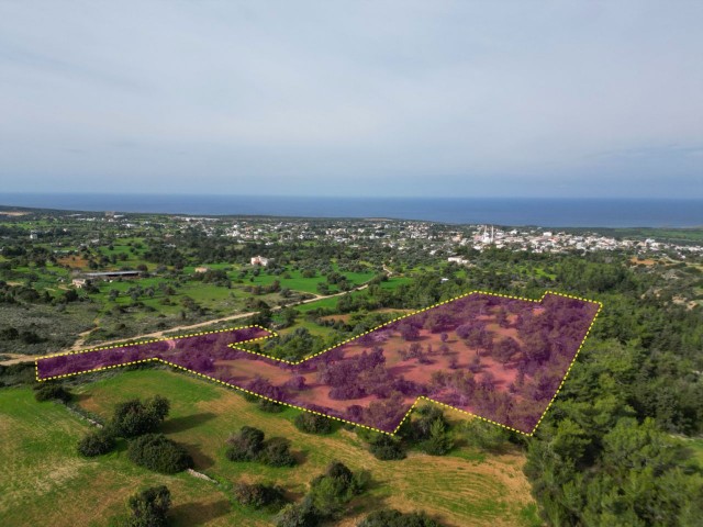 LAND FOR SALE IN YENİERENKÖY