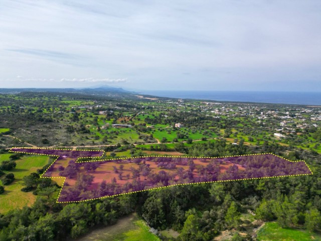 زمین برای فروش در YENİERENKÖY