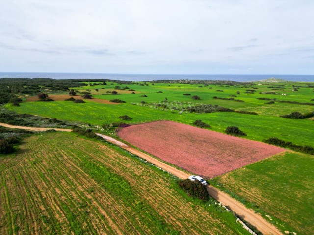 3 DECLARES OF LAND FOR SALE IN YENİERENKÖY