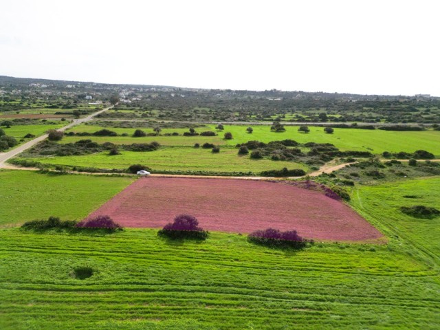 3 DECLARES OF LAND FOR SALE IN YENİERENKÖY