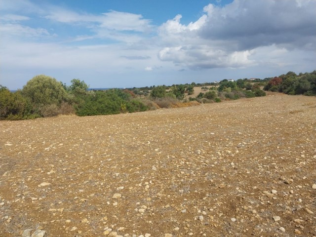 LAND FOR SALE IN YENİERENKÖY