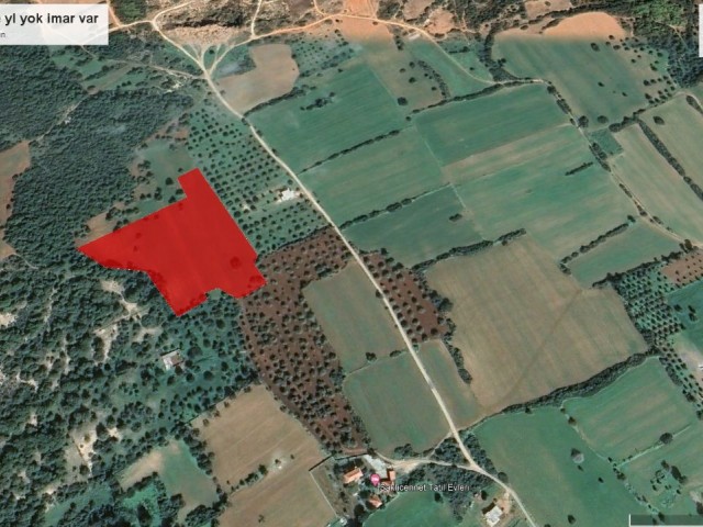 NOT TO BE MISSED, INVESTMENT ZONED FIELD IN DIPKARPAZ, 23670M2