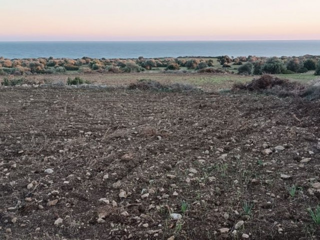 4 Hektar 2-Evlek-Land zum Verkauf im Dorf Boltaşlı, fußläufig zum Meer