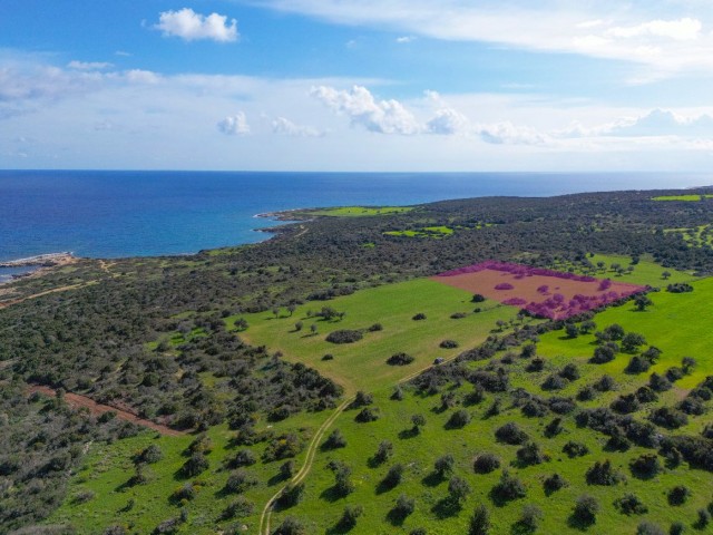 8 GRUNDSTÜCKVERKAUFSANMELDUNGEN IN DIPKARPAZ