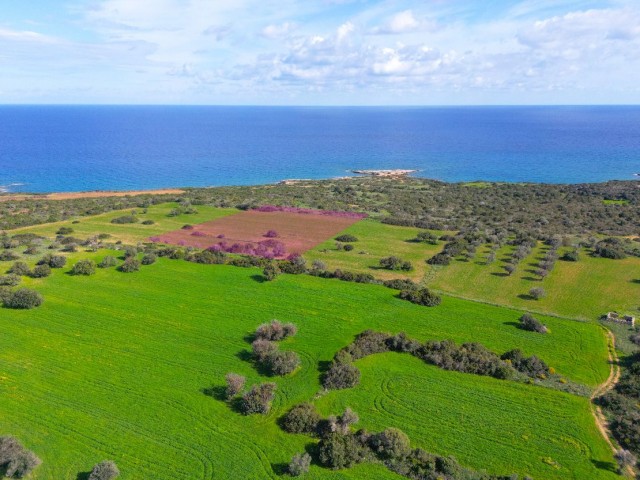 8 DECLARES OF 2 EVLEK LAND FOR SALE IN DIPKARPAZ