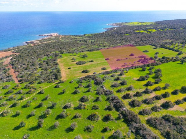 8 DECLARES OF 2 EVLEK LAND FOR SALE IN DIPKARPAZ