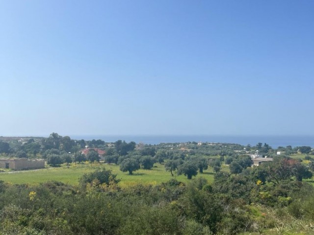 3 DECLARES OF LAND FOR SALE IN YENİERENKÖY