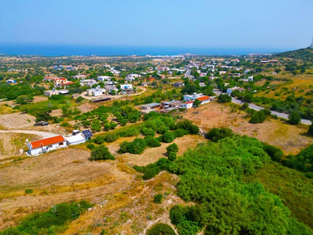 1 FERTIG 2 EVLEK-LAND ZUM VERKAUF IN YENİ ERENKÖY