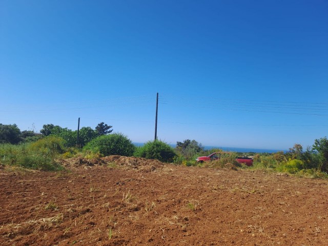 Das Feld, das Ihre Träume in Yeni Erenköy wahr werden lässt: Mit Meerblick und Zoneneinteilung!