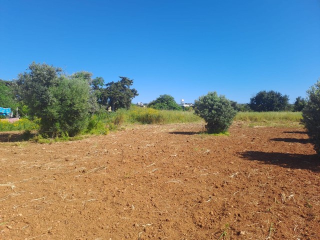 Das Feld, das Ihre Träume in Yeni Erenköy wahr werden lässt: Mit Meerblick und Zoneneinteilung!