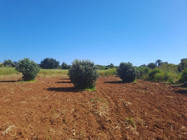 Das Feld, das Ihre Träume in Yeni Erenköy wahr werden lässt: Mit Meerblick und Zoneneinteilung!