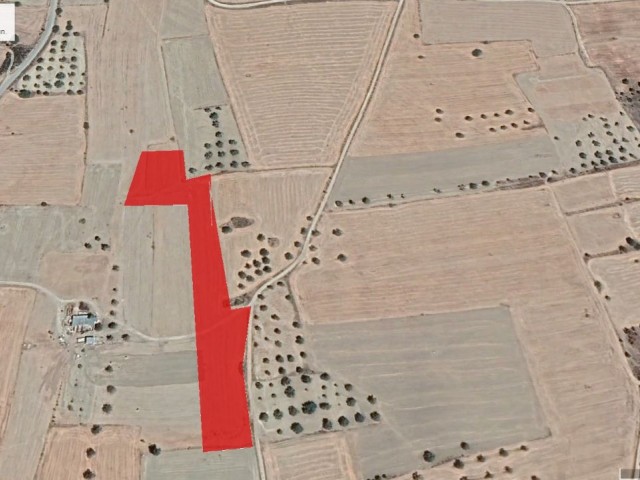 Field For Sale in Geçitkale, Famagusta