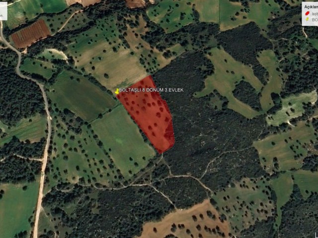 زمین برای فروش برای سرمایه گذاری در روستای بولتاشلی 11700 متر مربع