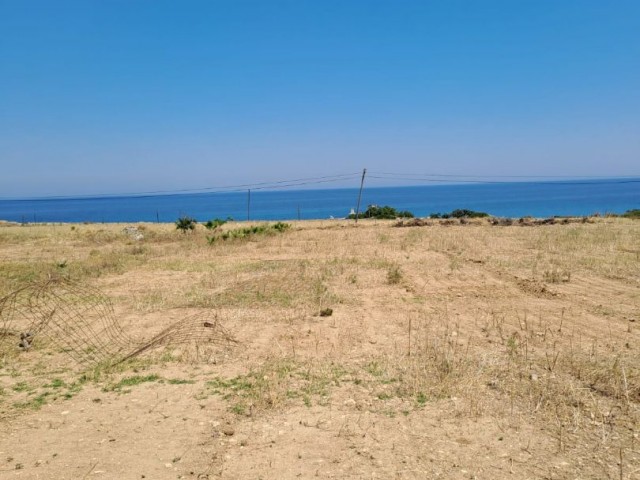 The Field That Will Make Your Dreams Come True in Yeni Erenköy: Field with Sea View