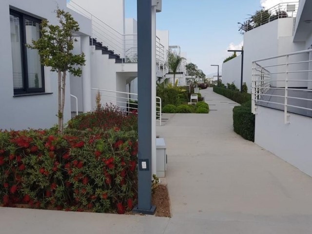 1+1 APARTMENT FOR RENT IN CYPRUS ESENTEPE 5 STAR HOLIDAY LIFE OPPORTUNITY