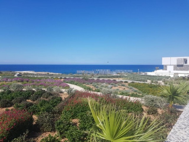 1+1 APARTMENT FOR RENT IN CYPRUS ESENTEPE 5 STAR HOLIDAY LIFE OPPORTUNITY