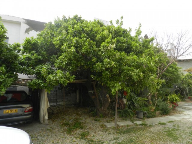 Einfamilienhaus Kaufen in Karşıyaka, Kyrenia