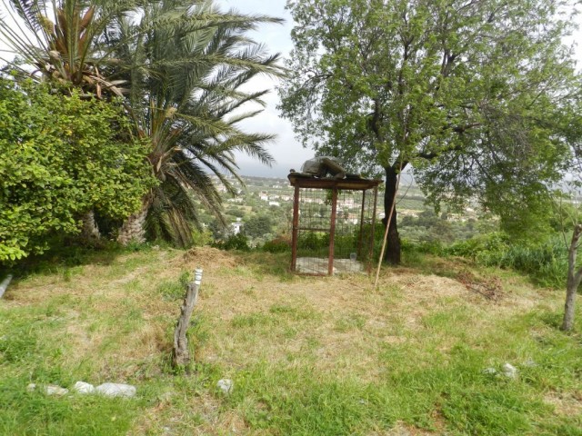 Einfamilienhaus Kaufen in Karşıyaka, Kyrenia