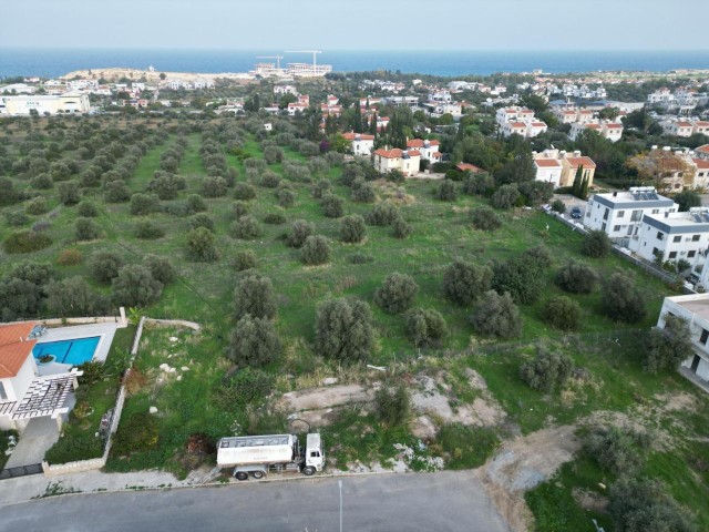 منطقه مسکونی برای فروش in Ozanköy, گیرنه