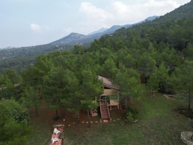 Mountain House 7 DONUM 3 EVLEK