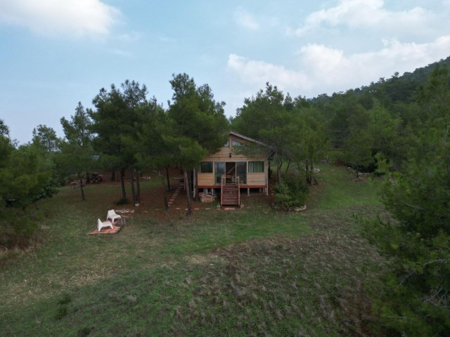 Mountain House 7 DONUM 3 EVLEK