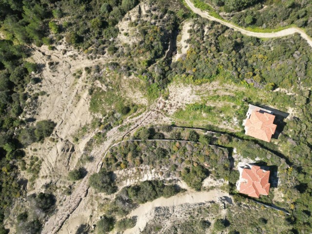 Girne’nin en nezih bölgesinde 7 dönüm Türk Koçanlı arazi