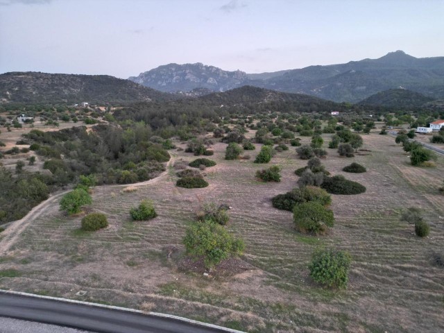 PERFEKTE LAGE WASSER STROM STRASSENENTWICKLUNG OFFENES MEER UND BERGBLICK 127.OOO STG JAHRZEHNTE